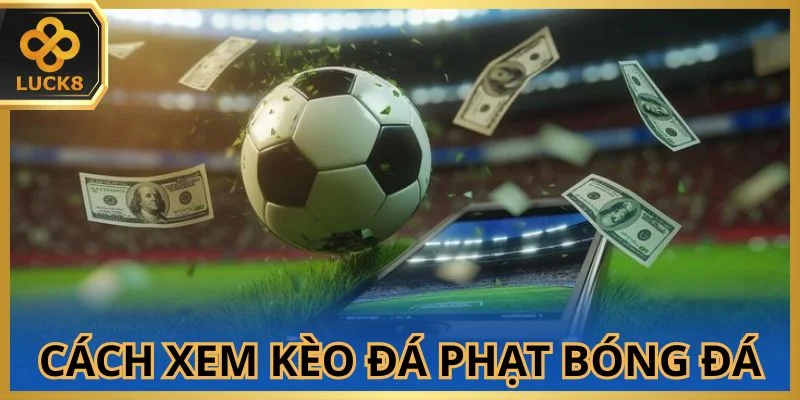 Bật mí nguyên tắc xem kèo đá phạt bóng đá chắc thắng 100%