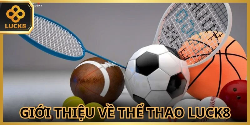 Danh mục chủ chốt của nền tảng online