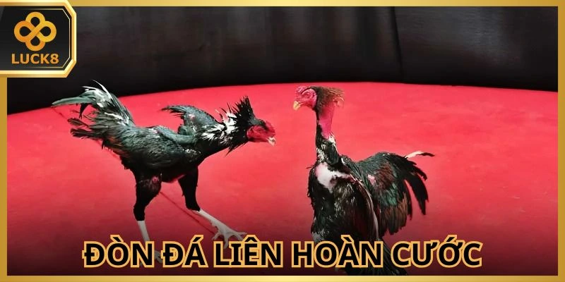 Đòn Đá Liên Hoàn Cước