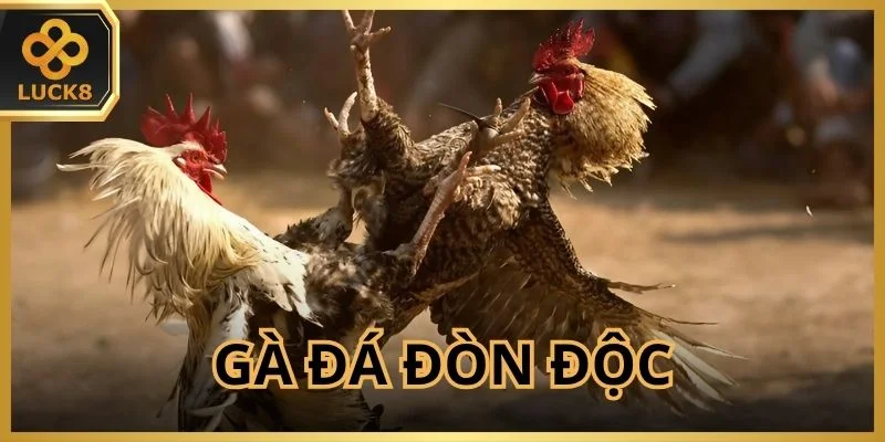 Gà Đá Đòn Độc