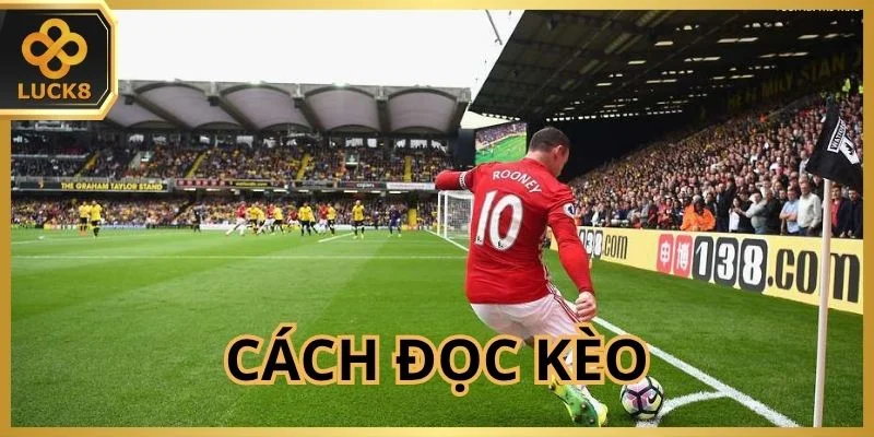 Hướng dẫn cách đọc và tính lợi nhuận đơn giản