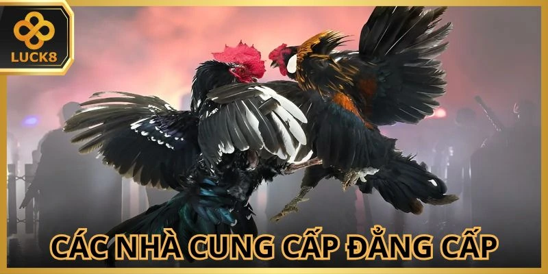 Thành viên có nhiều sự lựa chọn về sảnh cược