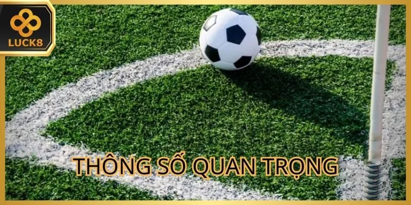 Thông số quan trọng khi thực hiện soi kèo cược