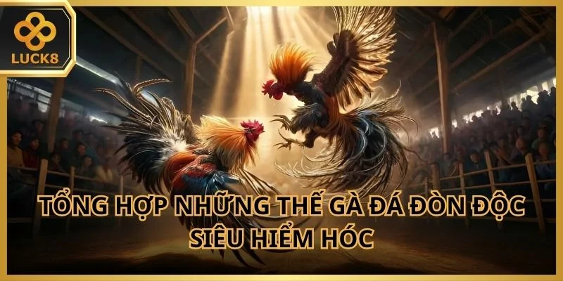 Tổng hợp những thế gà đá đòn độc siêu hiểm hóc mà bạn không nên bỏ lỡ